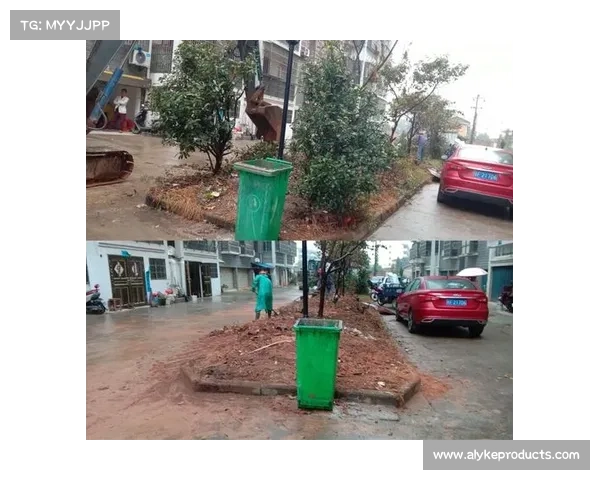如何实现高地红石榴的全方位丰收与品质提升技术探讨 如何实现高地红石榴的全方位丰收与品质提升技术探讨