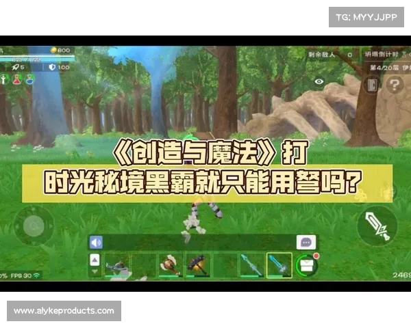 如何在幻影纹章中掌握魔法秘境的奥秘与技巧全面解析 如何在幻影纹章中掌握魔法秘境的奥秘与技巧全面解析