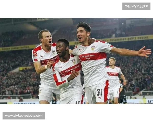 加的夫城足球队深度解析：你不可不知的联赛表现与历史荣光