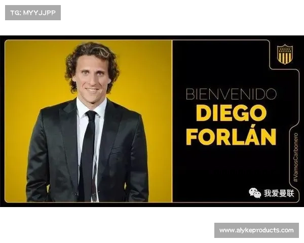 围绕曼联弗兰五大类核心技能体系的深度全景式全面解析权威研究